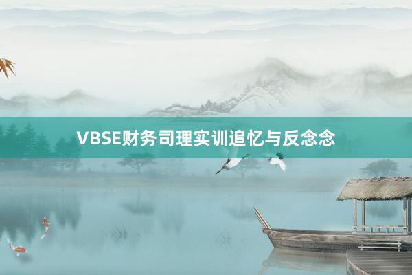 VBSE财务司理实训追忆与反念念