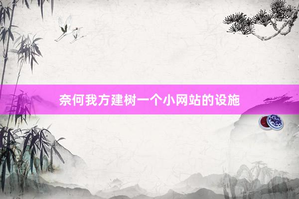 奈何我方建树一个小网站的设施